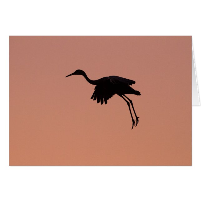 Sandhill silhouette op een roze zonnehemel (Voorkant Horizontaal)