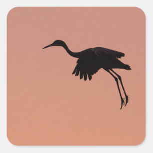 Sandhill silhouette op een roze zonnehemel vierkante sticker