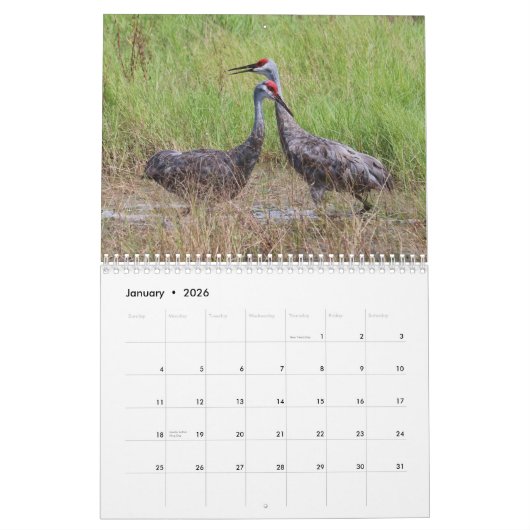 Sandhill tend le cou le calendrier 2017 (Jan 2026)