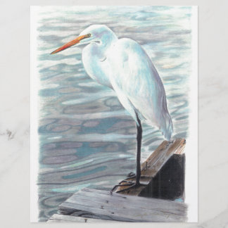 Sandhillkraan in water.