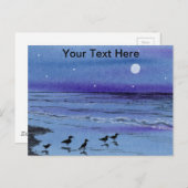 Sandpeper Briefkaart (Voorkant / Achterkant)