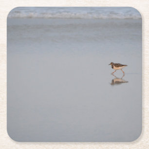 Sandpiper Bird Beach Natuur Kustfoto Vierkante Kartonnen Onderzetter