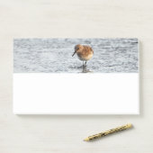 Sandpiper Bird Foto Stationery Note Pad (Op bureau)