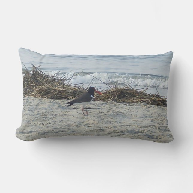 Sandpiper Bird Pillow op het strand. Kussen (Voorkant)
