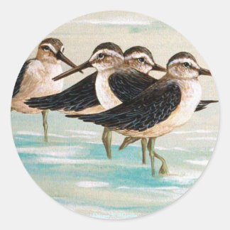 Sandpiper familie ronde sticker