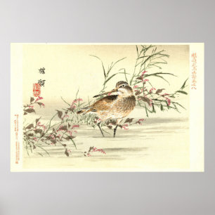 Sandpiper in water  Japanse oosterse kunst Poster