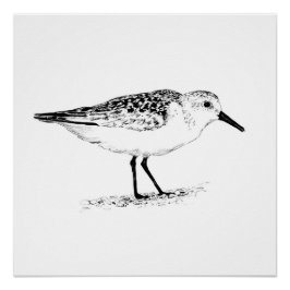 sandpiper monochrome print perfect poster