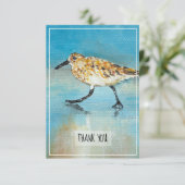 Sandpiper Shorebird Beach Carte de remerciements (Debout devant)