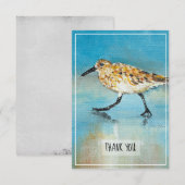 Sandpiper Shorebird Beach Carte de remerciements (Devant / Derrière)