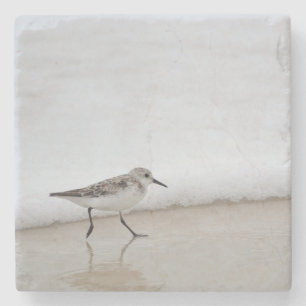 Sandpiper Shorebird Beach House Stone Onderzetter