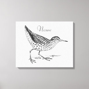 Sandpiper Shorebird Thunder_Cove Canvas Afdruk