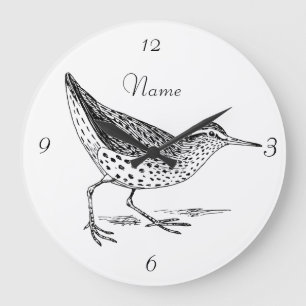 Sandpiper Shorebird Thunder_Cove Grote Klok