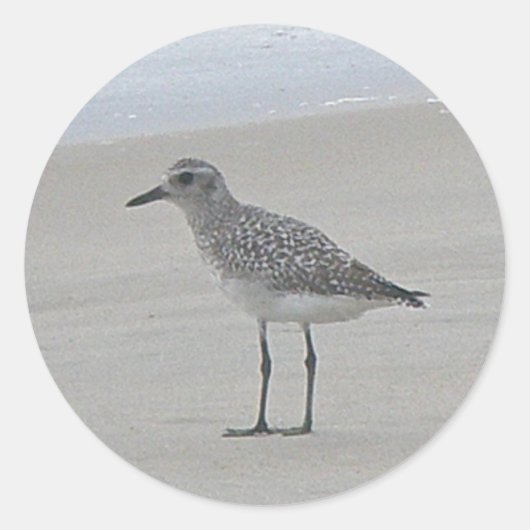 Sandpiper Stickers (Voorkant)