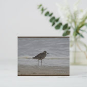 Sandpiper V | Blue Beach Song™-Briefkaart Briefkaart (Staand voorkant)