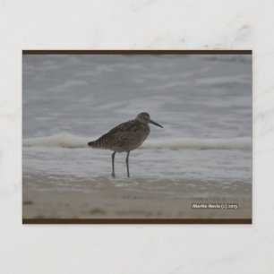 Sandpiper V   Carte postale Blue Beach Song™