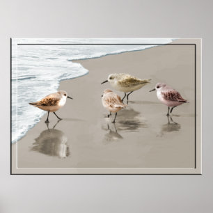 Sandpipers op de Shoreline Poster