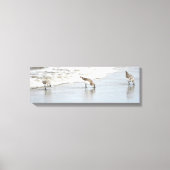 Sandpipers op het KabelschilderCanvas met doorsned Canvas Afdruk (Voorkant)