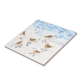 Sandpipers op Old Orchard Beach Tegeltje (Zijkant)