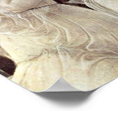 Sandro Botticelli - Drie races Poster (Hoek)