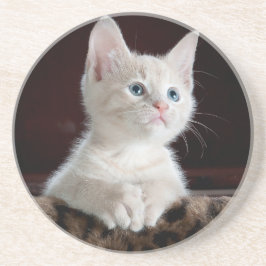 Sandstone Onderzetter houdt van katten, voor meisj