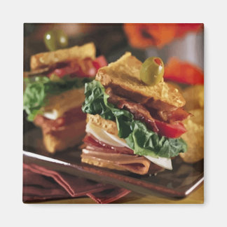 Sandwich Vraag Magneet