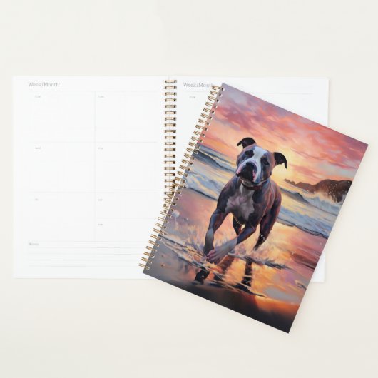 Sandy American Staffordshire Dog on Beach Sunset (Devant avec enveloppe)