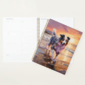Sandy Australian Shepherd Dog on Beach Sunset (Devant avec enveloppe)