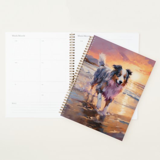 Sandy Australian Shepherd Dog on Beach Sunset (Devant avec enveloppe)