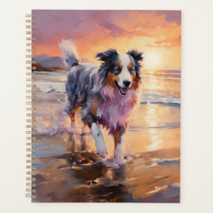 Sandy Australian Shepherd Dog on Beach Sunset
