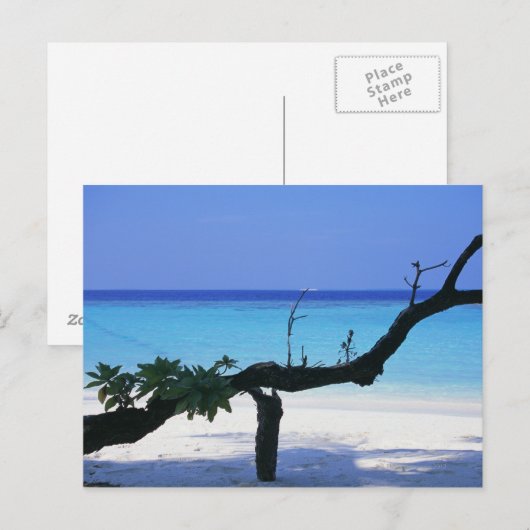 Sandy Beach 8 Briefkaart (Voorkant / Achterkant)