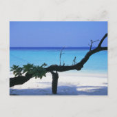 Sandy Beach 8 Briefkaart (Voorkant)