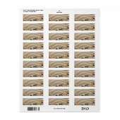 Sandy Beach Background with Shells and Starfish Etiket (Full Sheet)