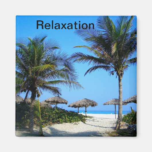 Sandy Beach with Palm Trees and An Ocean Uitzicht  Magneet (Voorkant)