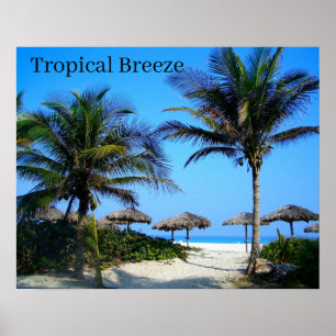Sandy Beach with Palm Trees and An Ocean Uitzicht  Poster
