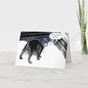 Sandy Carlin Bonne Carte de voeux Anniversaire