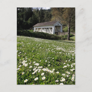 Sandy Cr. Bedekte brug Briefkaart