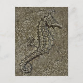 Sandy getextureerde Seahorse foto Briefkaart (Voorkant)