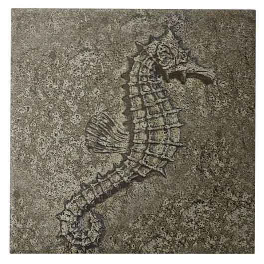 Sandy getextureerde Seahorse Veranderde Foto Tegeltje (Voorkant)