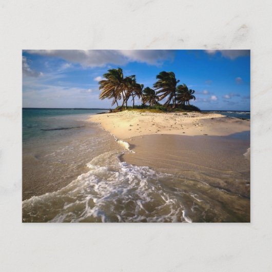 Sandy Island, Anguilla, Caribisch gebied Briefkaart (Voorkant)