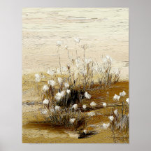 Sandy Meadow Wildflowers #3 – Warm Botanical Art