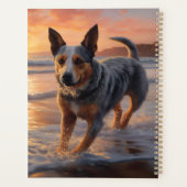 Sandy Paws Australian Cattle Dog on Beach Sunset (Dos)