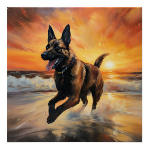 Sandy Paws Belgische Malinois Hond op Strand Zonso Perfect Poster