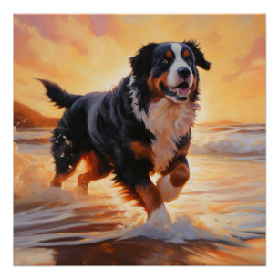 Sandy Paws Berner Berghond op Strand Zonsondergang Perfect Poster