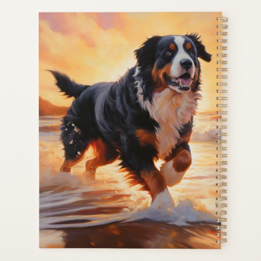 Sandy Paws Bernese Mountain Dog on Beach Sunset (Dos)