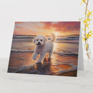 Sandy Paws Bichon Frise-hond op strand bij zonsond Kaart