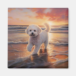 Sandy Paws Bichon Frise Hond op Strand Zonsonderga Magneet
