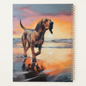 Sandy Paws Bloodhound Dog on Beach Sunset (Dos)