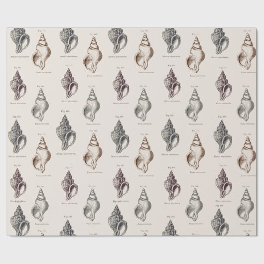 Sandy Shells  Seaside Pattern Wrapping Pap Cadeaupapier (Vlak)