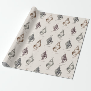 Sandy Shells Seaside Pattern Wrapping Pap Cadeaupapier