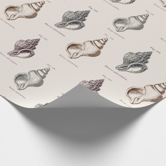 Sandy Shells  Seaside Pattern Wrapping Pap Cadeaupapier (Hoek)